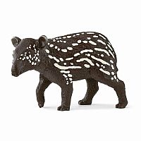 Image of Tapir Baby