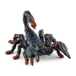 Image of Emperor Scorpion