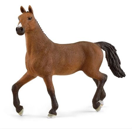 Image of Oldenburger Mare