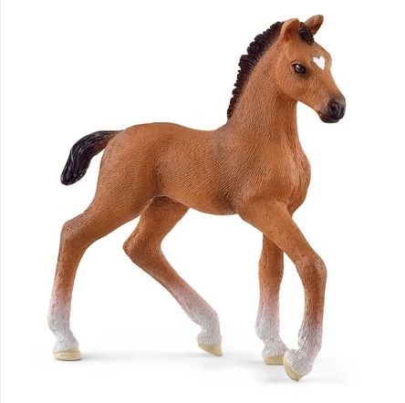 Image of Oldenburger Foal