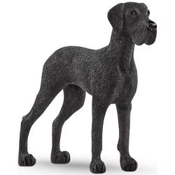 Image of Great Dane