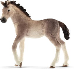 Image of Andalusian Foal