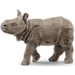 Image of Indian Rhinoceros Baby
