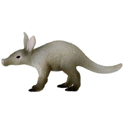 Image of Aardvark
