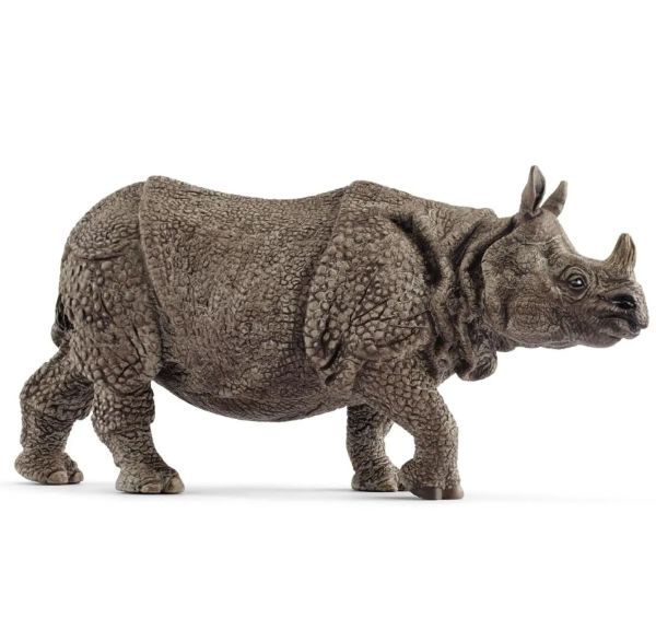 Image of RWSO Indian Rhinoceros
