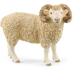 Image of Ram