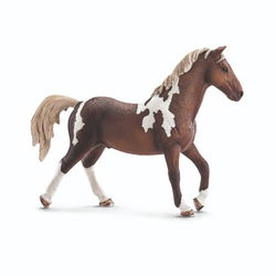 Image of Trakehner Stallion