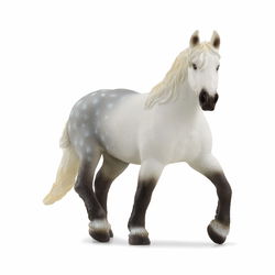 Image of Percheron Mare