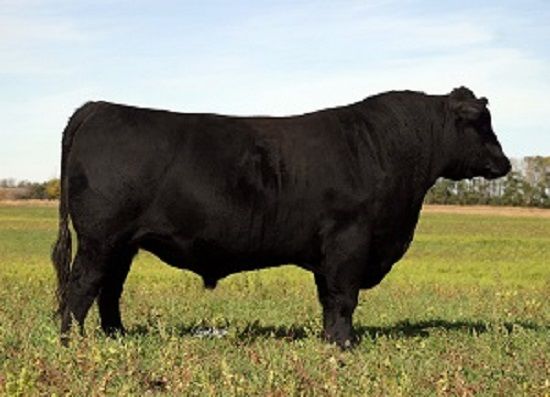 662-0145 Product Image 7