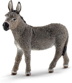 Image of Donkey