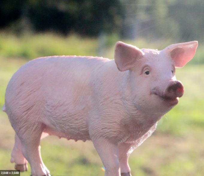 Product 662-0158 - View 5 662-0158 Product Image 5