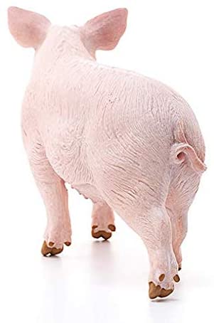 Product 662-0159 - View 4 662-0159 Product Image 4