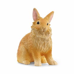Image of Lionhead Rabbit