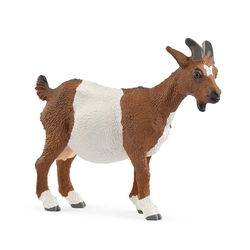 Image of Goat