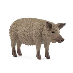 Image of Mangalica Pig