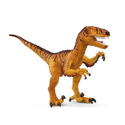 Image of Velociraptor