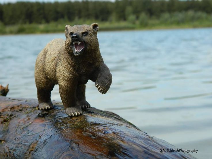 Product 662-0239 - View 7 662-0239 Product Image 7