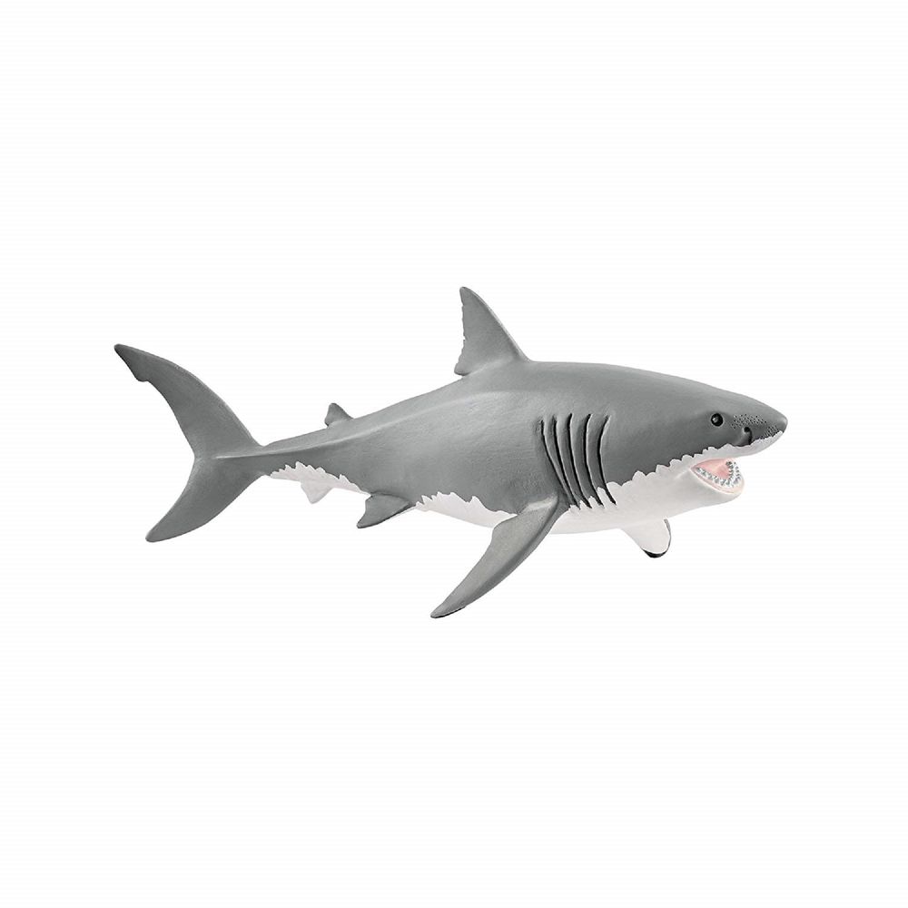 Image of Great White Shark