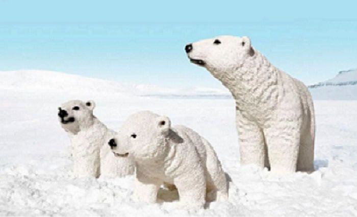 Product 662-0255 - View 6 662-0255 Product Image 6