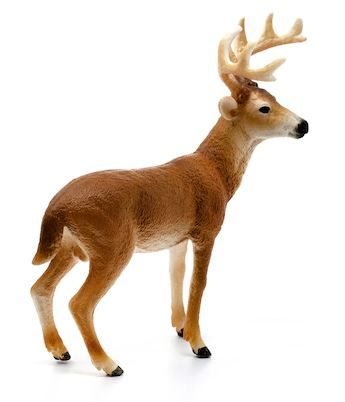 Product 662-0256 - View 4 662-0256 Product Image 4