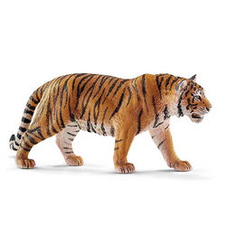 Image of Tiger
