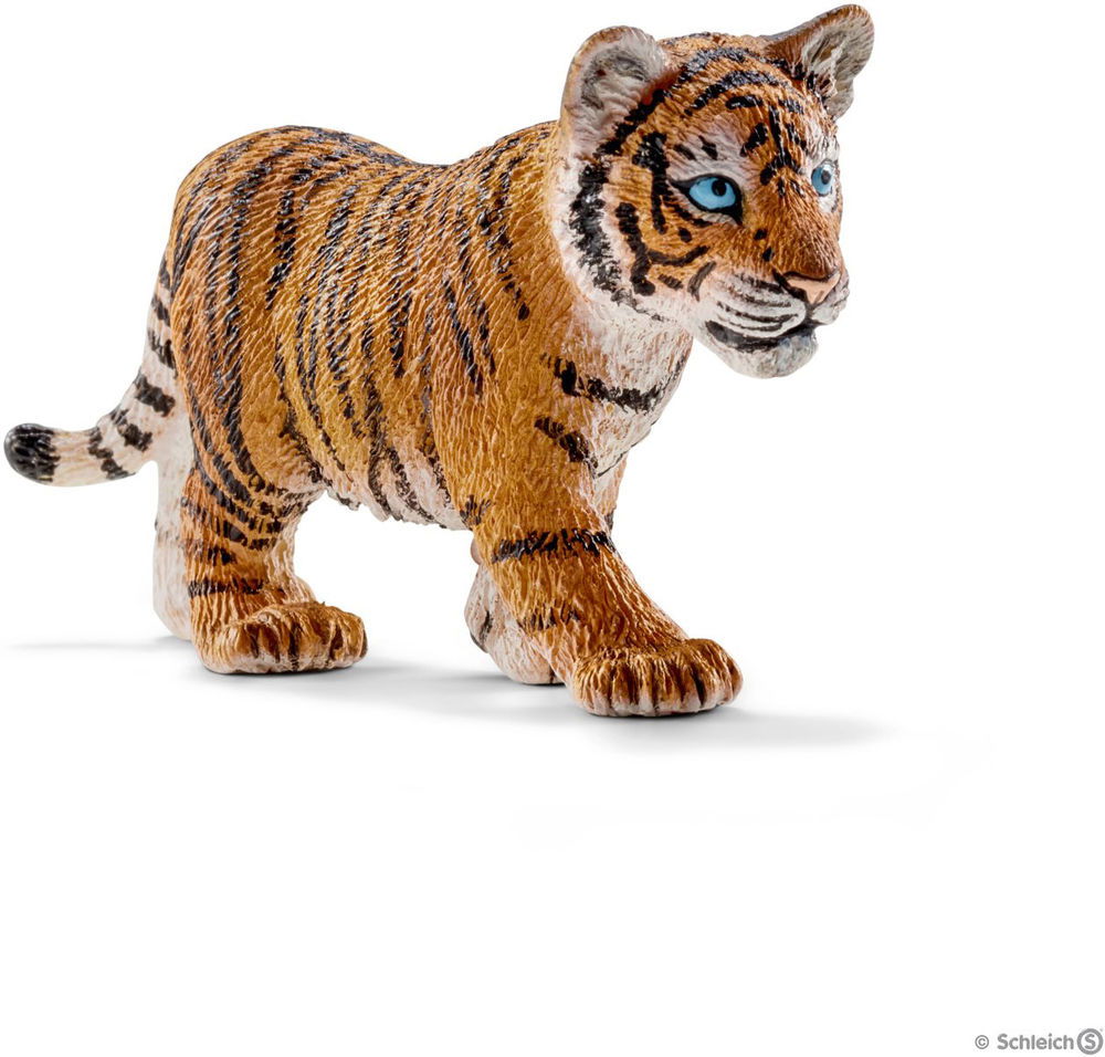 Image of Tiger Cub