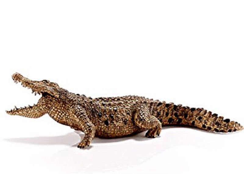 Product 662-0271 - View 3 662-0271 Product Image 3