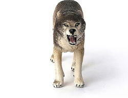 Image of Wolf