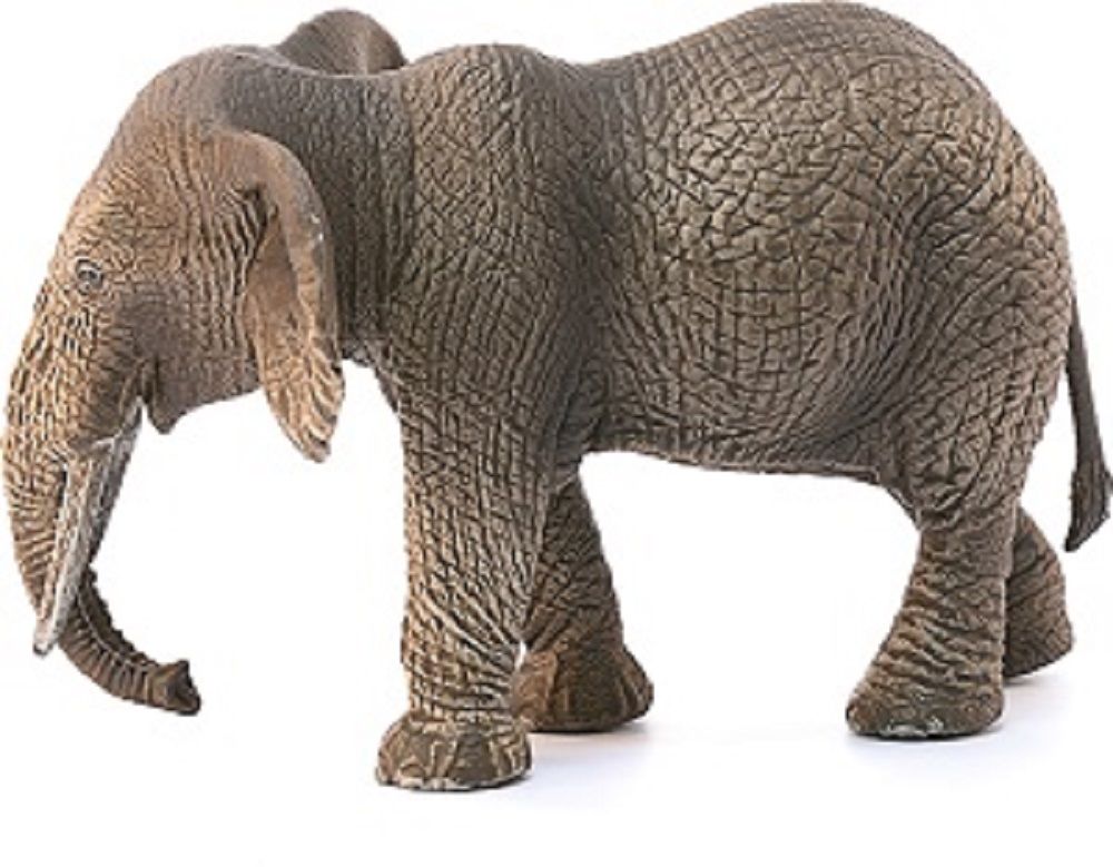 662-0282 Product Image 3