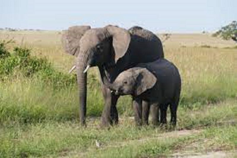 662-0282 Product Image 6