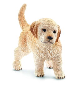 Image of Golden Retriever Puppy