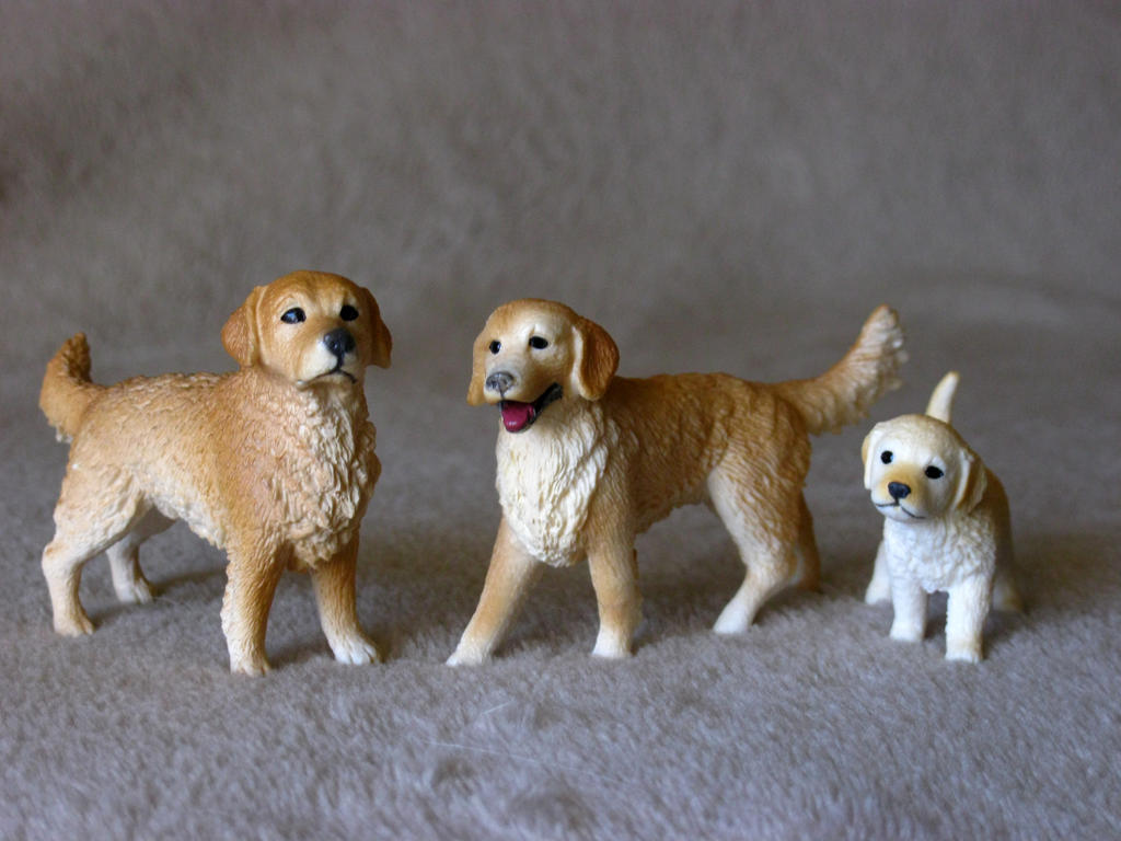 662-0289 Product Image 4