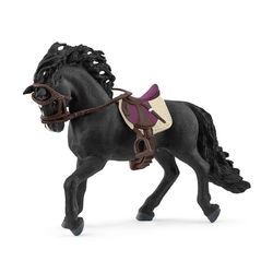 Image of Pura Raza Espanola Stallion with Saddle and Bridle – Currently N/A  no ETA
