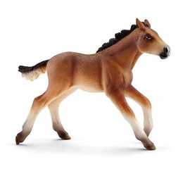 Image of Mustang Foal