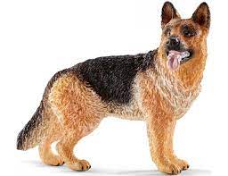 662-0316 Product Image 4