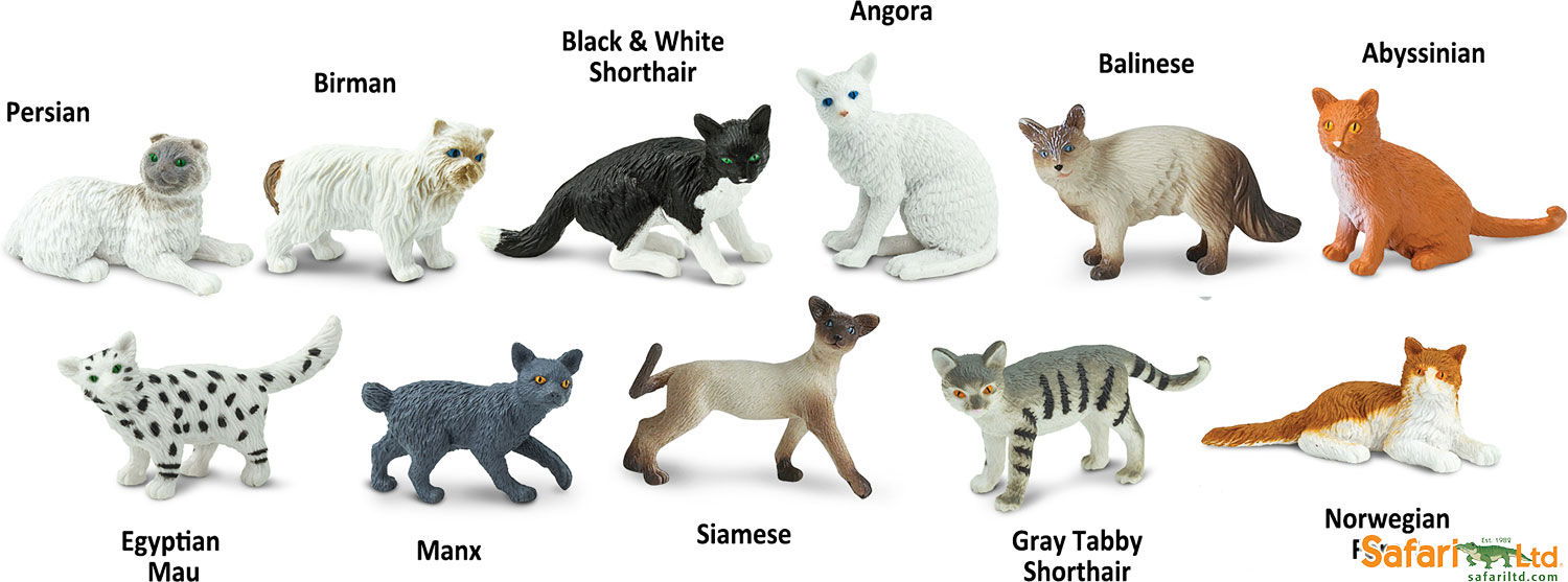 662-0402 Product Image 2