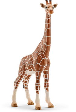 Image of Giraffe, Female