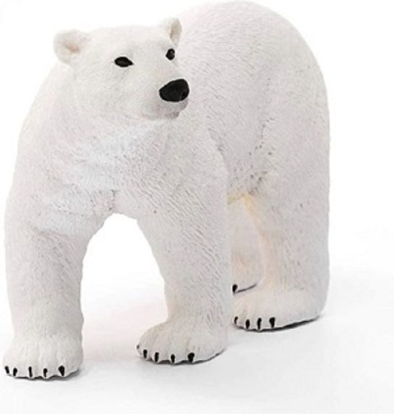 662-0427 Product Image 3