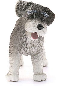 Image of Miniatures Schnauzer