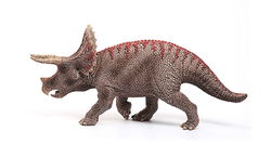 Image of Triceratops