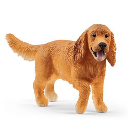 Image of English Cocker Spaniel