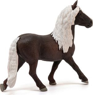 Product 662-0469 - View 4 662-0469 Product Image 4