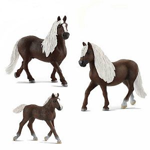 Product 662-0469 - View 5 662-0469 Product Image 5