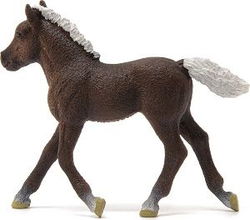 Image of Black Forest Foal