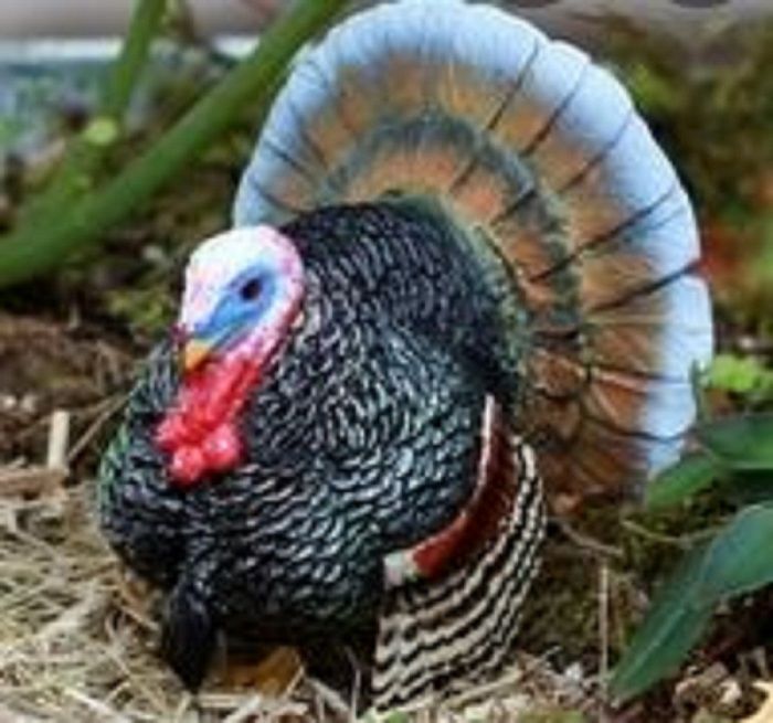 Product 662-0472 - View 6 662-0472 Product Image 6