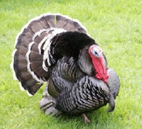 Product 662-0472 - View 7 662-0472 Product Image 7