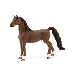 Image of American Saddlebred Gelding