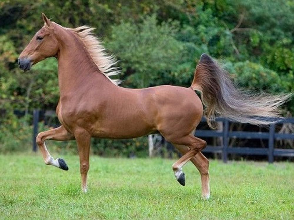 Product 662-0477 - View 5 662-0477 Product Image 5