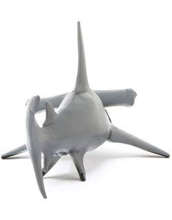 Image of Hammerhead Shark