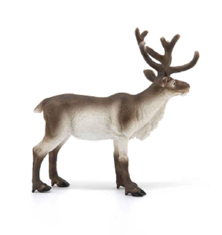 Product 662-0480 - View 2 662-0480 Product Image 2